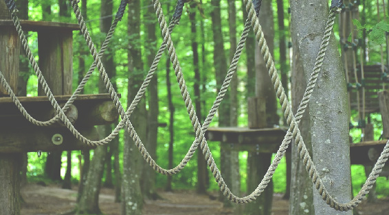 Parcours accrobranche en forêt